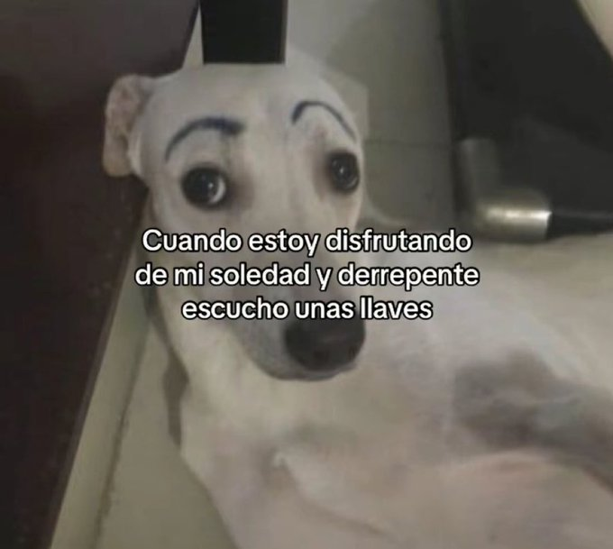 itsD3lay🐧 (@itsd3lay) on Twitter photo 