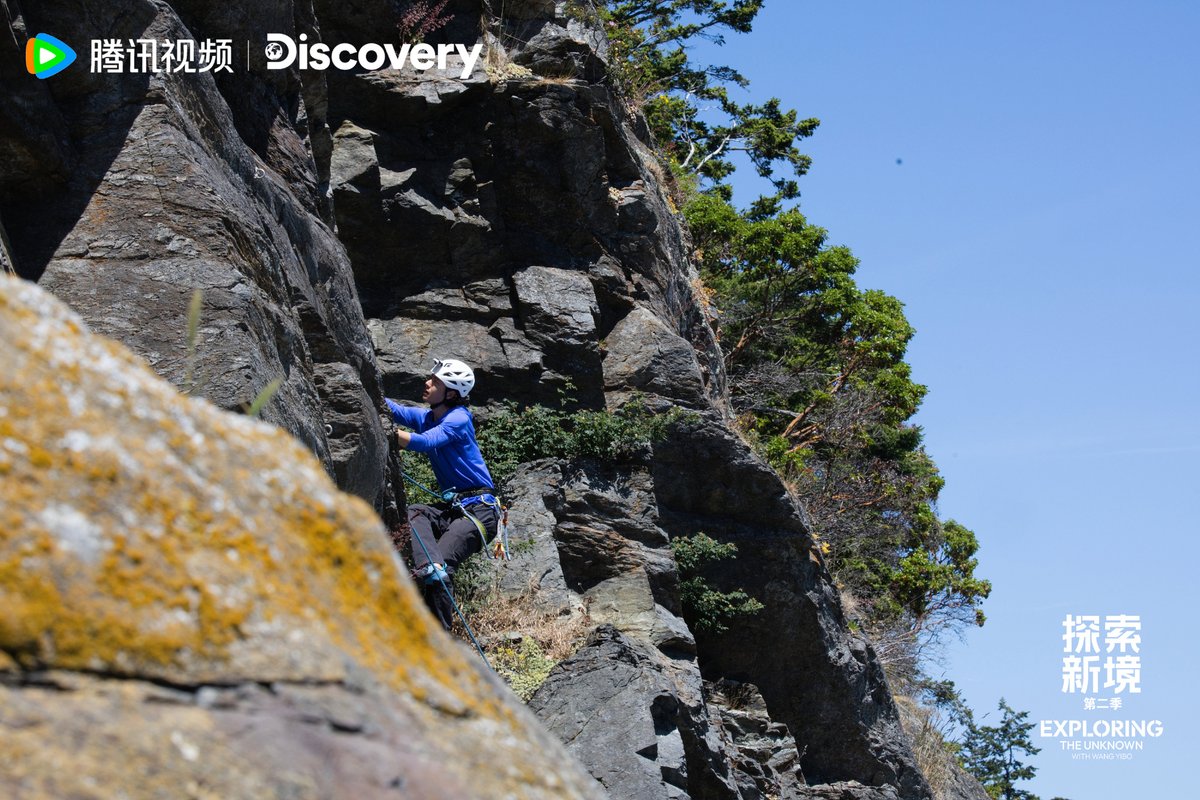 魚さん　専用　王一博 王一博 | 心の置き場所