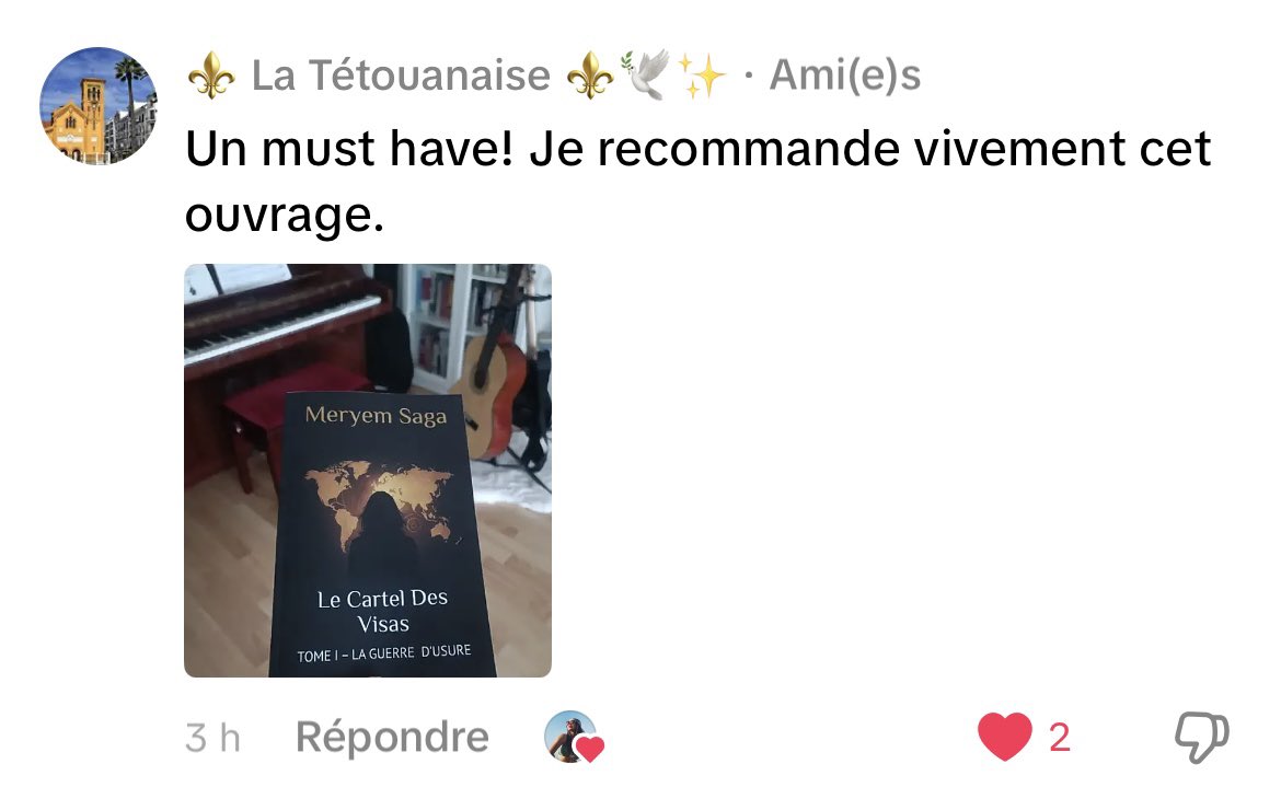 visacartel's tweet image. « Must have. » 

Ce n’est pas une punchline marketing.
C’est un commentaire laissé sous une vidéo TikTok du roman.

Quand un livre circule ainsi, c’est qu’il touche un point sensible.