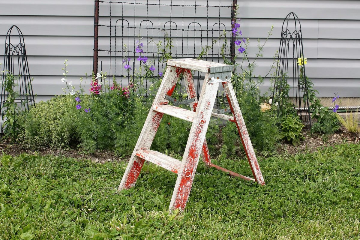 This is my step ladder. I never knew my real ladder…