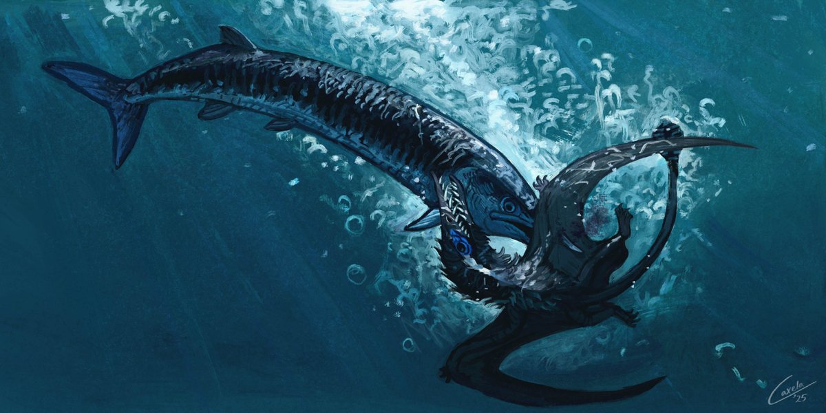 caxela1's tweet image. Entangled