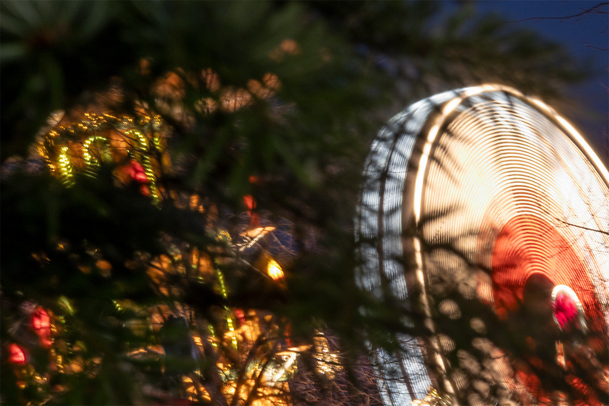 _MAPhoto's tweet photo. What is to come remains hidden.
Nothing new is visible yet.
And still, the cycle turns.

Merry Christmas and happy New Year! https://t.co/LG98NO2QPE