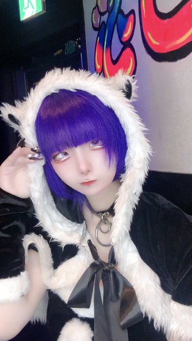 ノラ猫でも愛してくれますか？のツイート