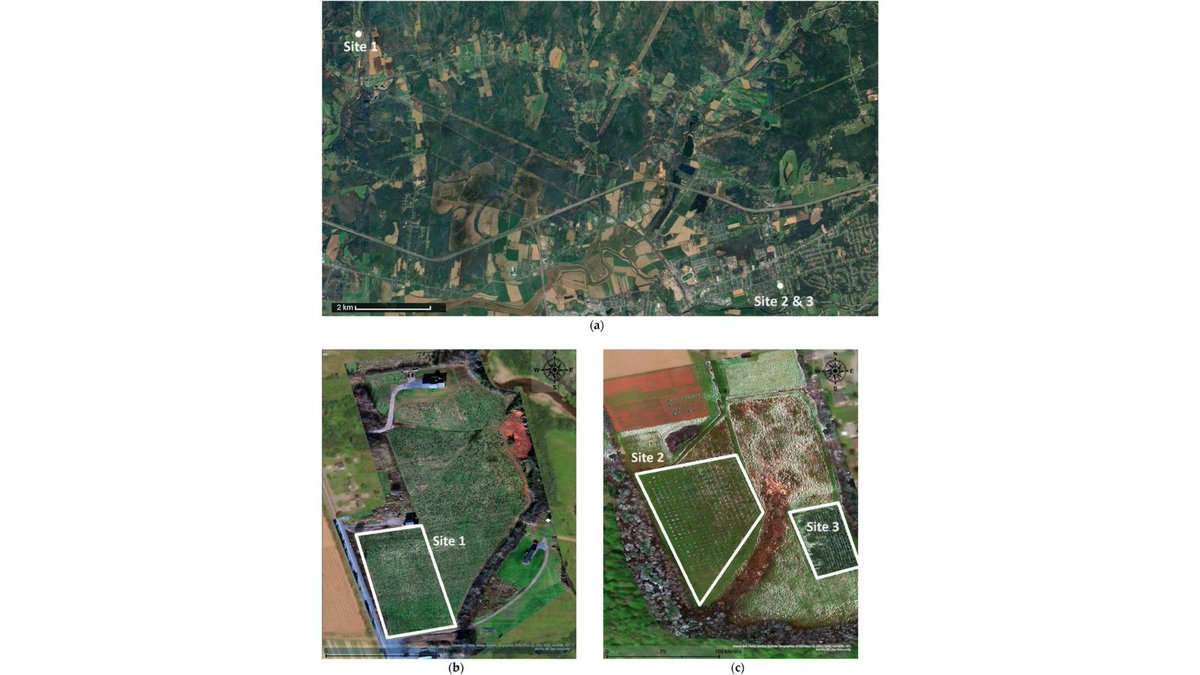 cdnsciencepub's tweet image. Science keeps our Christmas trees healthy!🎄 Researchers used drones and multispectral sensing to track balsam fir nutrition, supporting greener growth for the festive season.

Read more in @CanJPlantSci: ow.ly/gpWw50XJOWh

📸 cjps-2024-0072_f1 #CSPHolidayScience