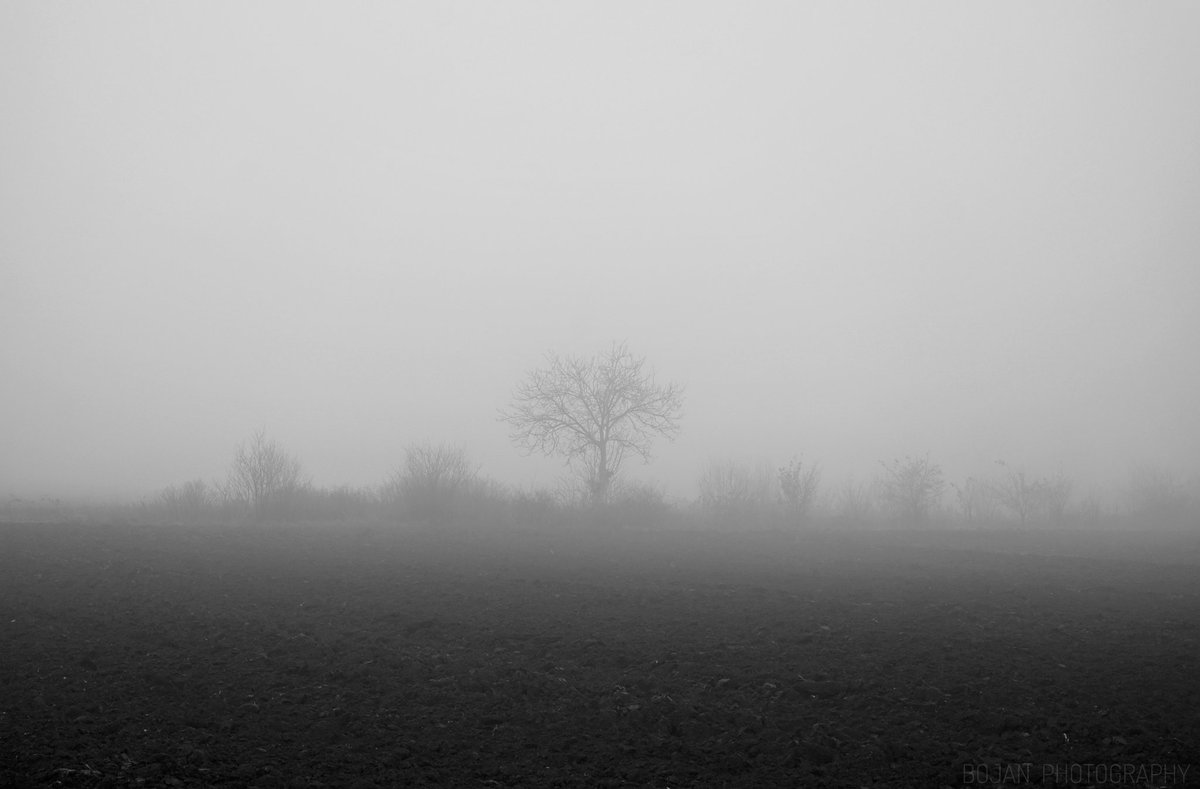 Vozio sam bicikl i poneo fotoaparat...

#bilojednomuvojvodini