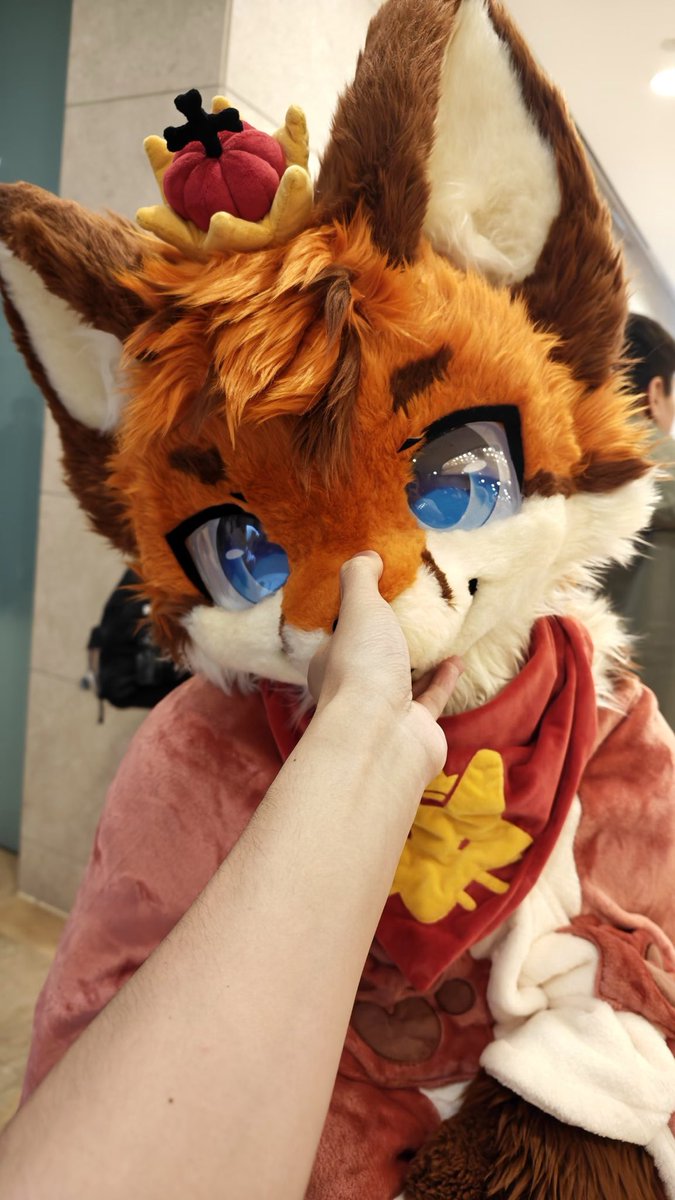 “诶？战败国王！”
“不好意思，你认错了。”
“啊，对不起，我把你认成另外一只狐狸了。”
“我叫战胜国王。”
“战败国王！！！”