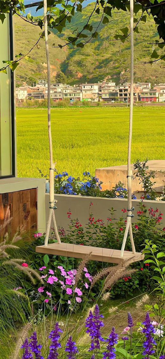 mxraclev's tweet image. menyusahkan