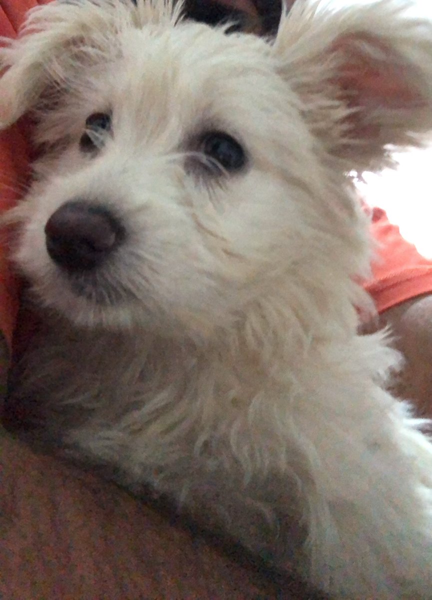 بما اننا في آخر كام يوم من السنة احب اقول ان من الذ الحاجات كانت في السنة دي هي سعدية ♥️♥️
اتمنى السنة الجاية تيجي وامي راضية عنك 😁😁