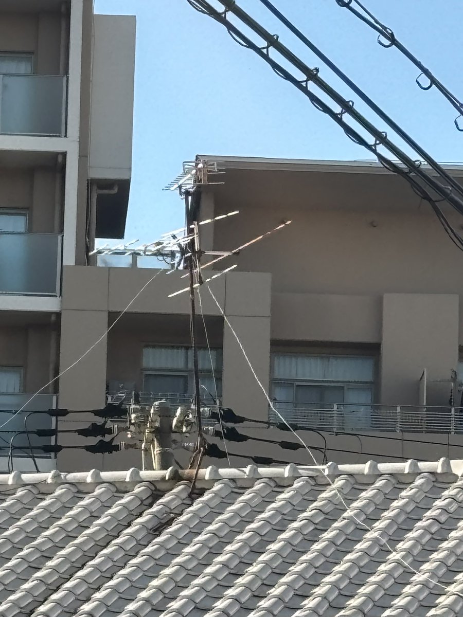 最近、めったに見なくなったアナログアンテナ。

昔よく屋根に上がってこの向きを調整したりしてたことを思い出しています。