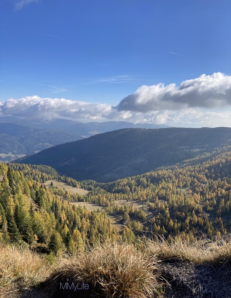 ManuelaMravlak's tweet photo. Wonderful view…🤍
#NaturePhotography #Austria 🇦🇹
#MountainLover #Mountains 🏔️
@StormHour @ThePhotoHour ⛅️
#SaturdayFeeling #SaturdayBlue 💙 https://t.co/wwvxFz1m4m