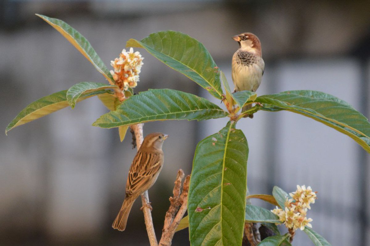 Eski evimi özledim.