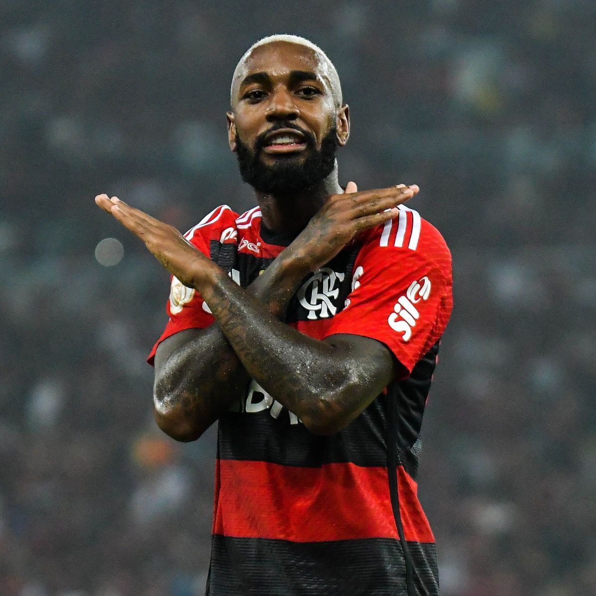 FORA LEONARDO JARDIM tweet media