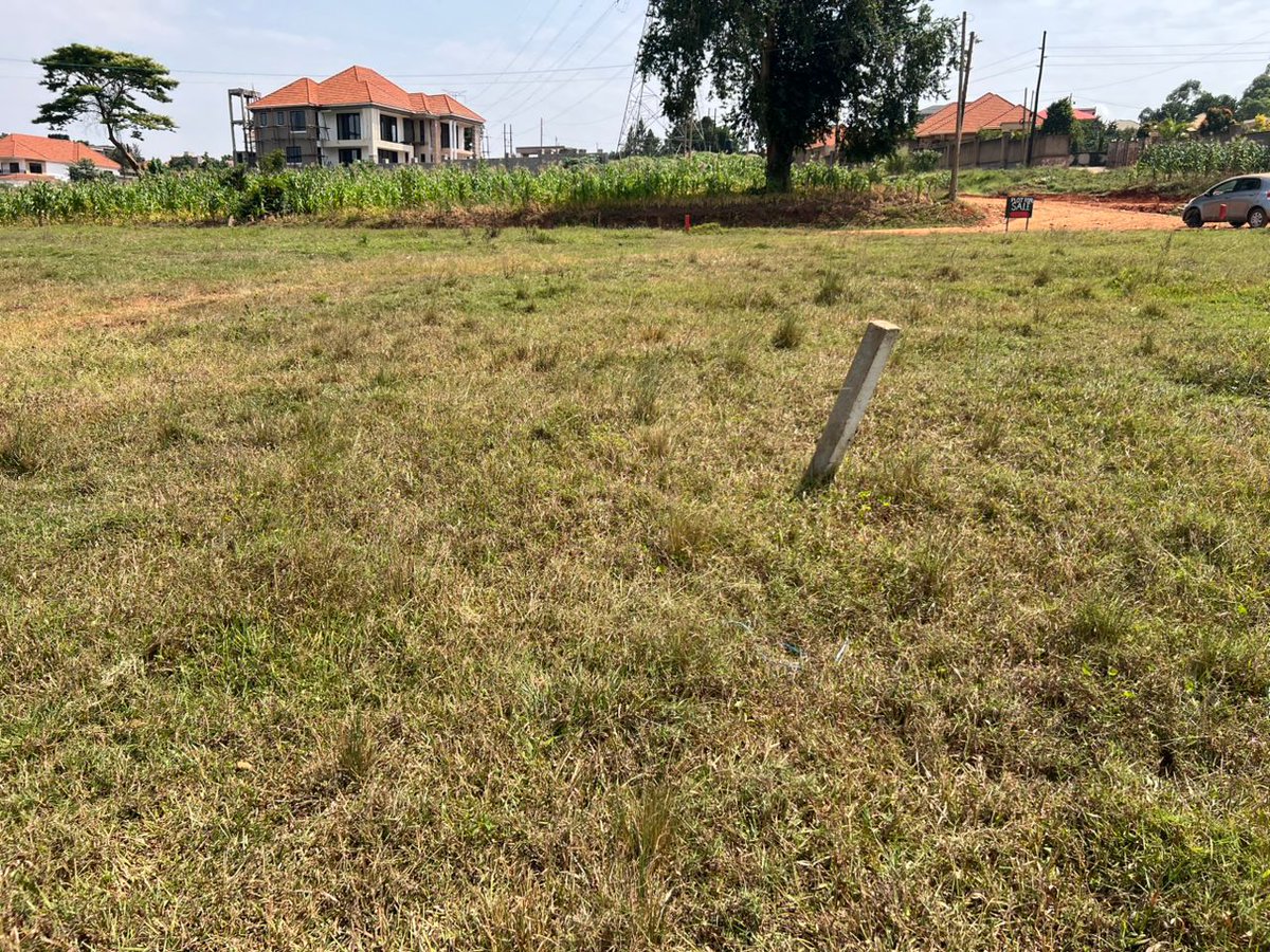 sure_uganda's tweet photo. Kira  Mulawa 50x100ft plot of land for sale at 105 private mailo land title:0788385406/0705043548 https://t.co/n3OLS0ahM2
