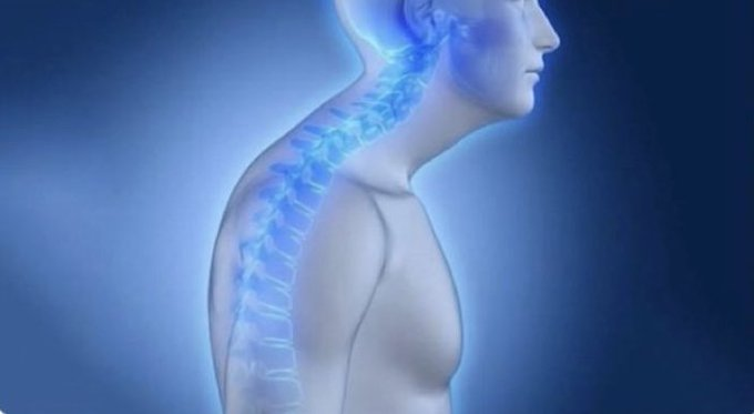 "Me encantan tus curvas"

Mis curvas: