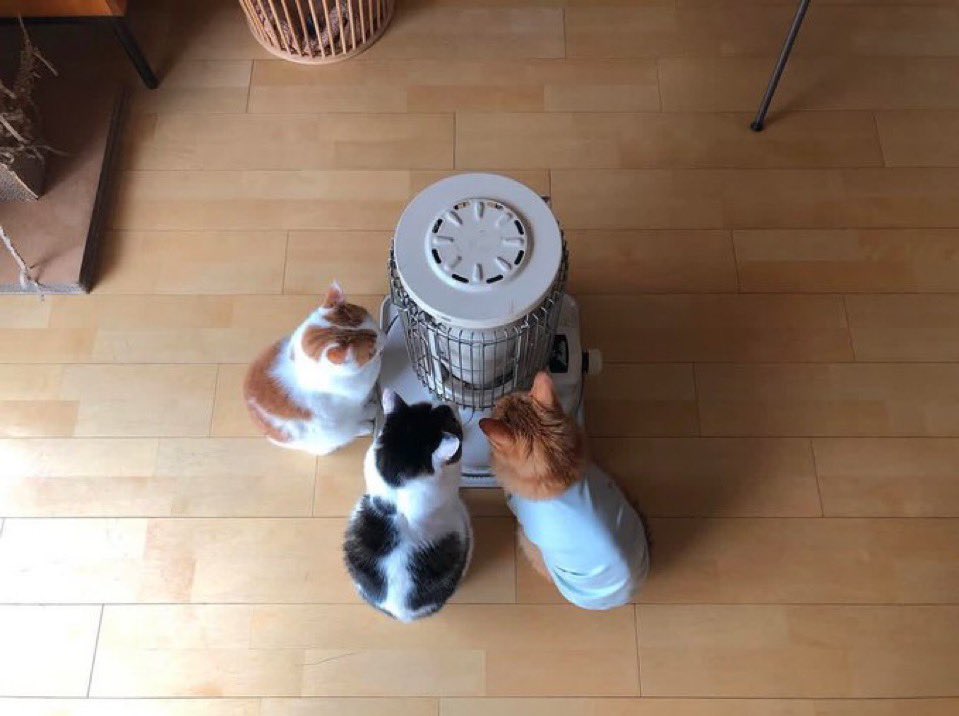 reema (@arigoiid) on Twitter photo 