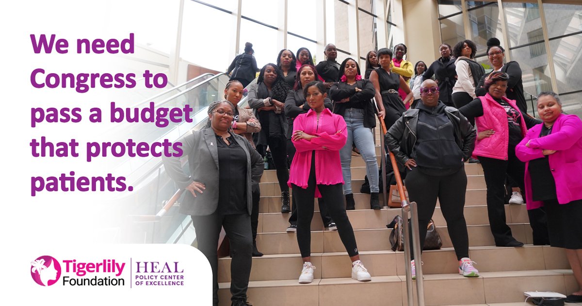 tigerlilycares's tweet photo. Join us to tell Congress: No more delays. Pass a budget that #FundsFutures for cancer patients. Share your story and contact your reps here: https://t.co/lIWcpl6Bf3 

#HEALPolicy4Change https://t.co/9e8PGiUFlI