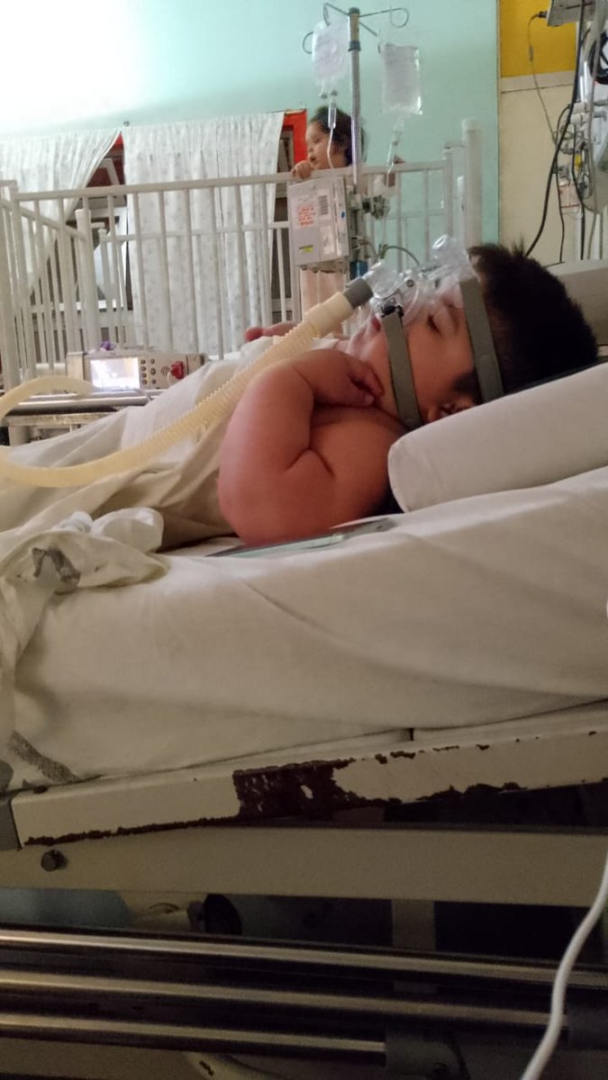 AnyColazo's tweet image. Vamos por la última del año y se va para Navidad ? Milo también necesita volver a casa  necesita el bipap, más el Humidificador, y oxímetro  nos ayudas ?  si 9200  personas donan $100 le regalan una Nochebuena en casa Alias: solidaridadfcnea se agradece Rt