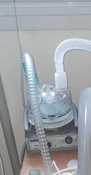 AnyColazo's tweet image. Vamos por la última del año y se va para Navidad ? Milo también necesita volver a casa  necesita el bipap, más el Humidificador, y oxímetro  nos ayudas ?  si 9200  personas donan $100 le regalan una Nochebuena en casa Alias: solidaridadfcnea se agradece Rt