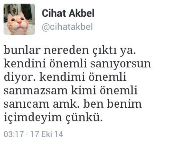 İT KÖPEK A.Ş. (@itkopekas_) on Twitter photo 