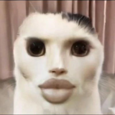 victim_brainrot's tweet image. #NuevaFotoDePerfil