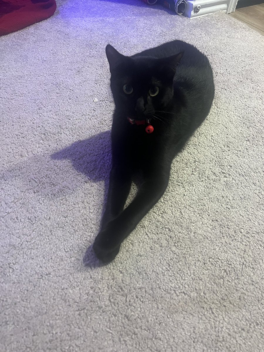 Look at my little baby