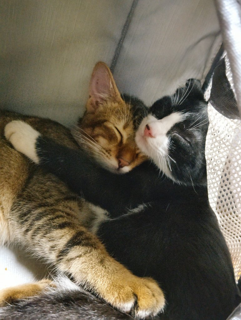 Time for bed! Good night~ ❤️