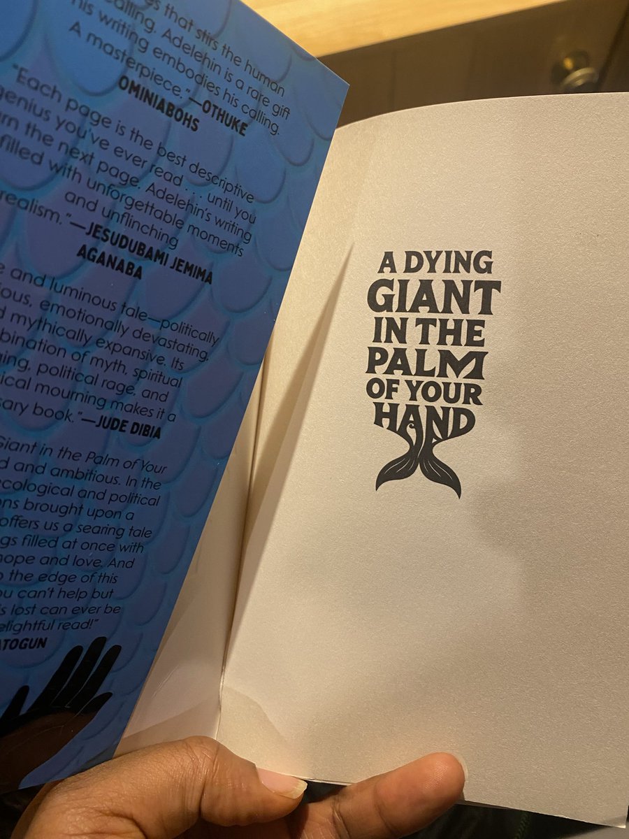 Adelehin Ijasan tweet media