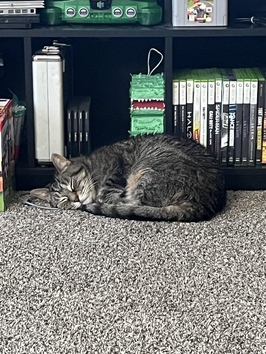 Septilence tweet media