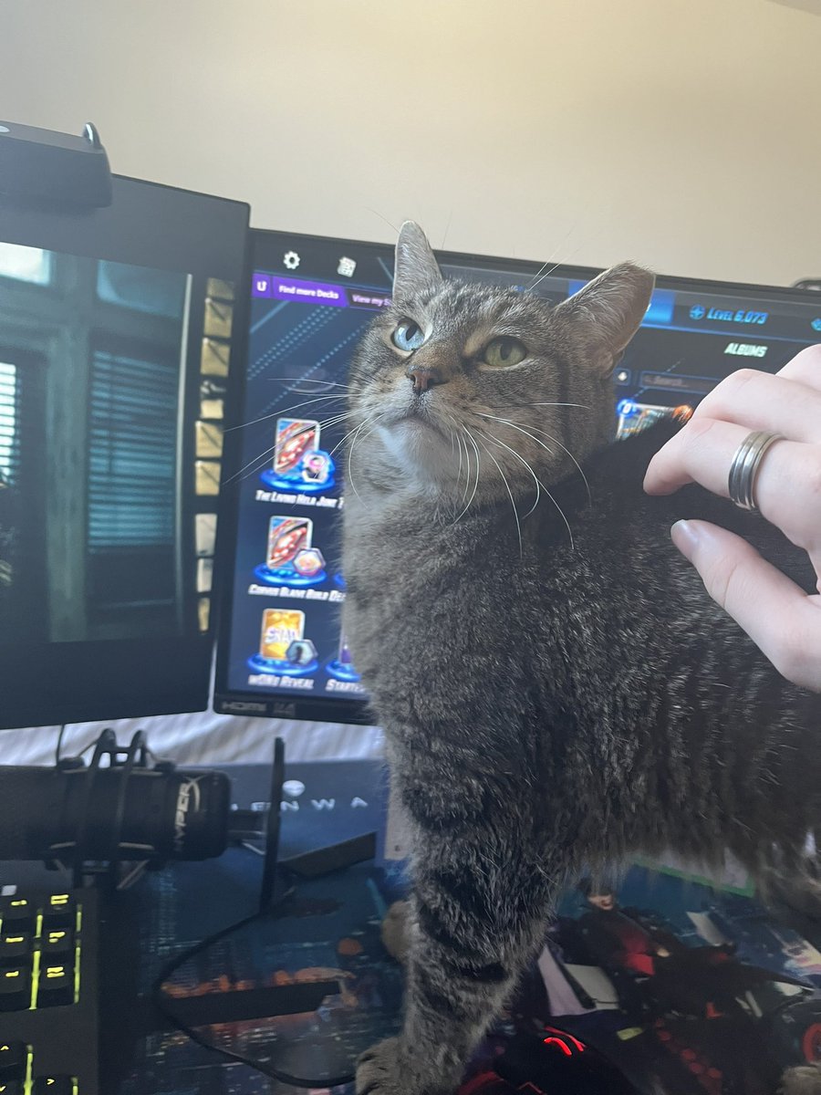 Septilence tweet media