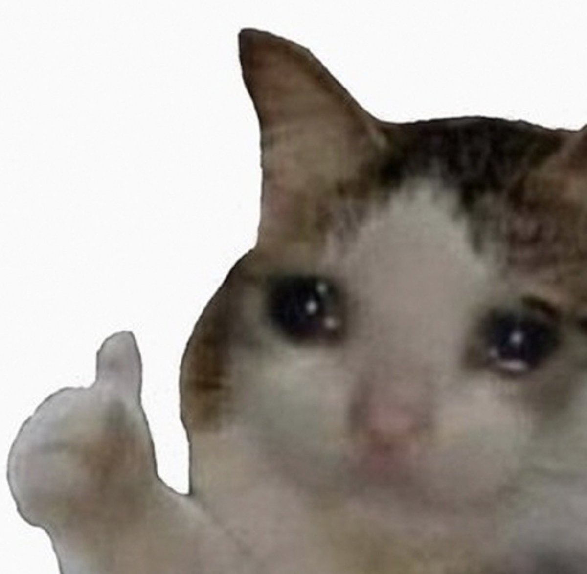 Wife:

“We need to buy the kids more gifts.”

Me:

“ok”