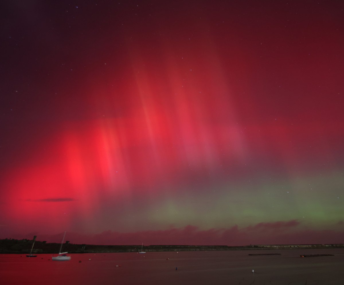 Anthony Ward tweet media