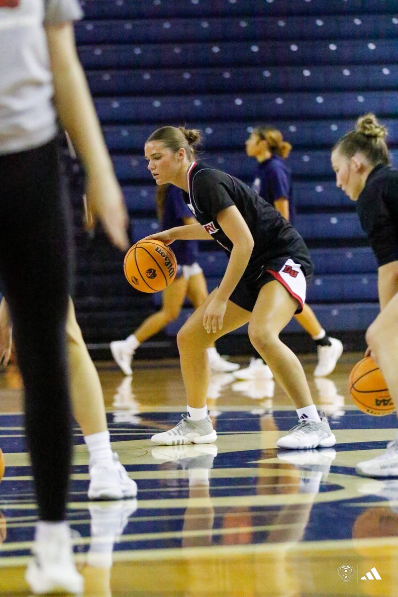 Drury Lady Panthers tweet media