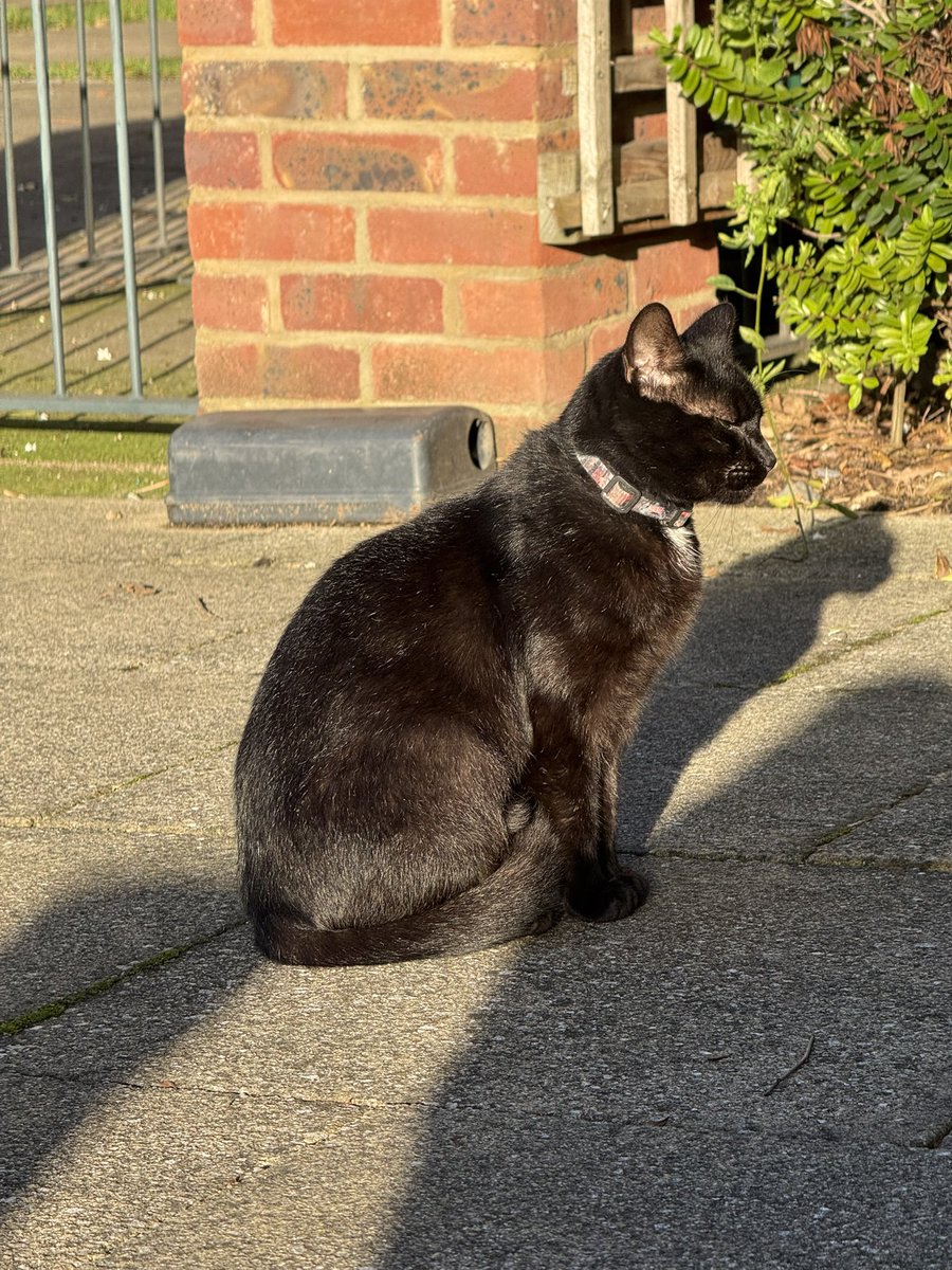 Lovely sunny session this morning, it was great to speak to the residents of Albert Square ☀️

Thank you to everyone who took their time to speak with us! 😊