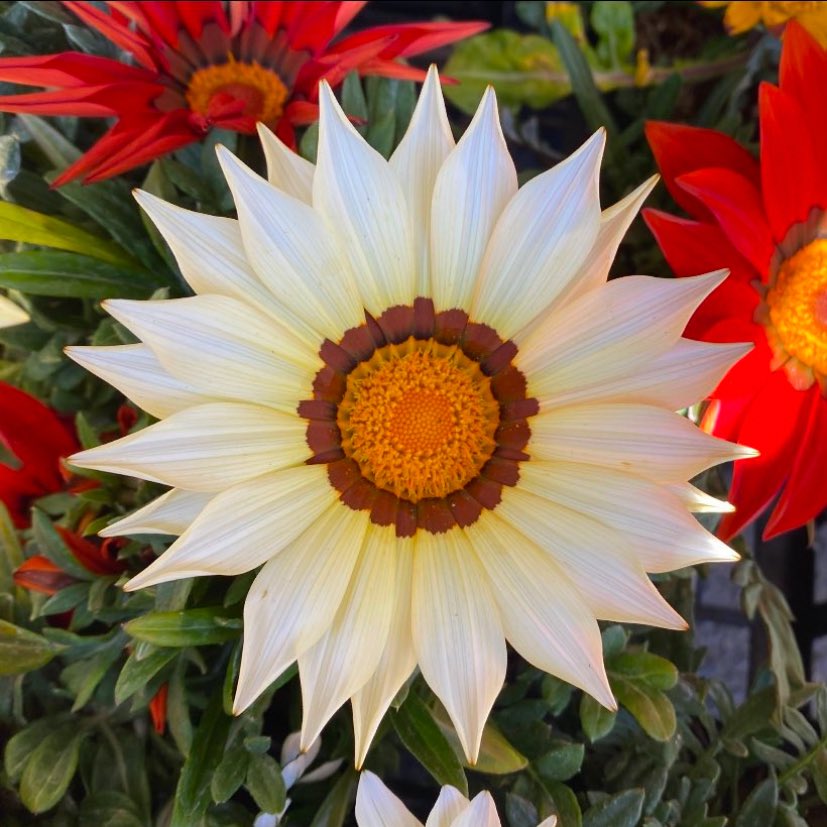 ひろみ 🦋 (@u90pVKxMdO9ffre) / Posts / X