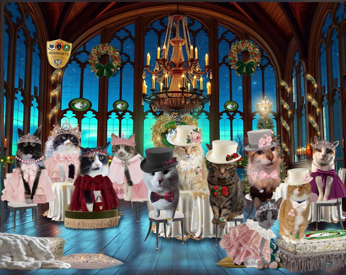 LisaCla29002177's tweet photo. @BagginsSuperCat @DomainDoris It is amazing Baggins! #WMBall #HWCafe https://t.co/pvo4oR8LPN