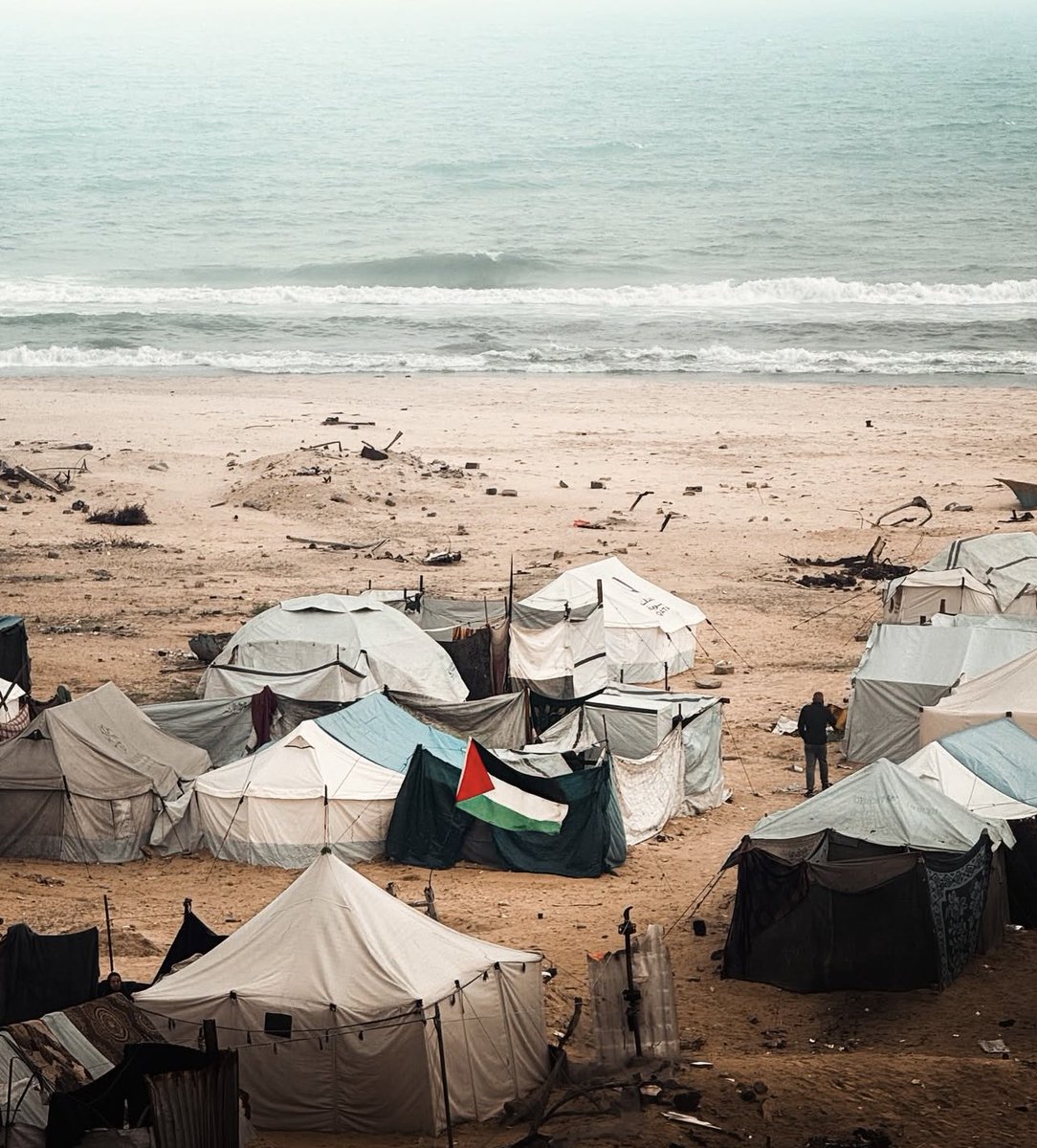 Dr. Yousef 🇵🇸 tweet media