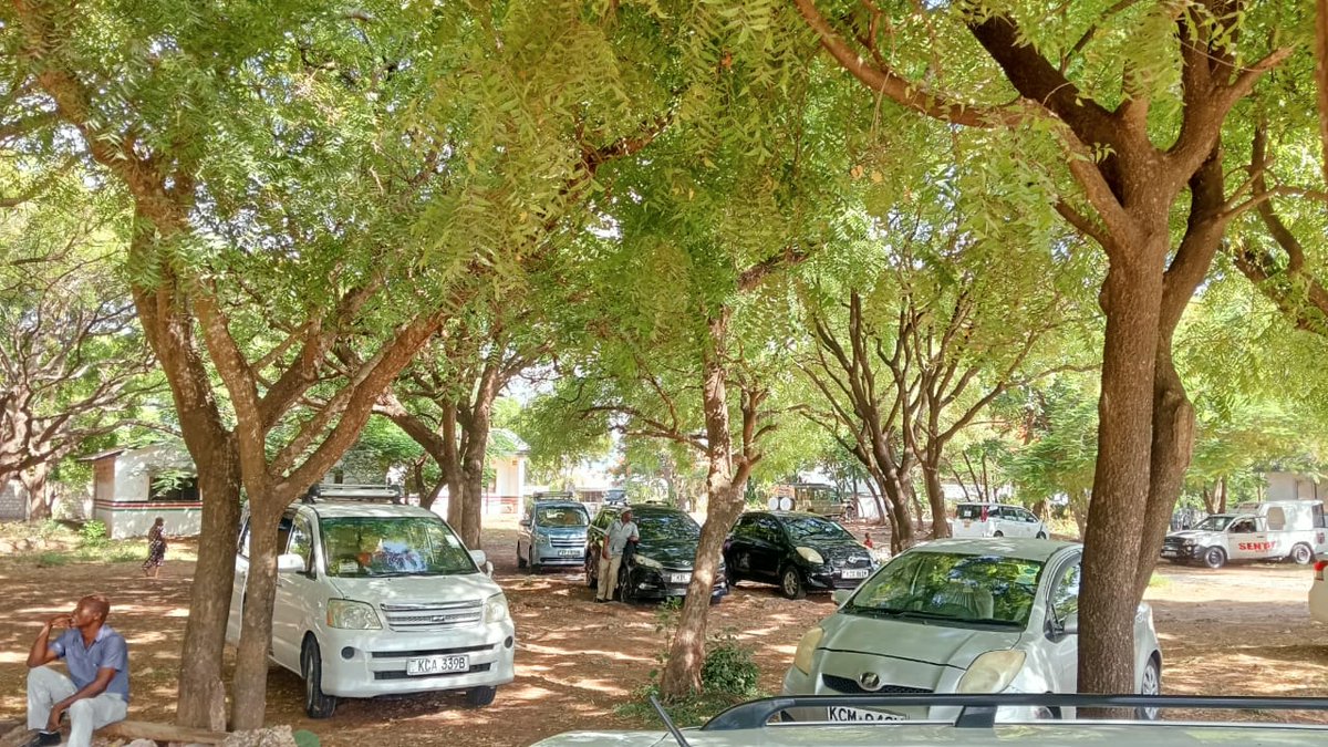 AfricanTeacher tweet media