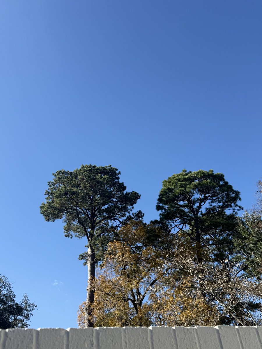 @EndoraCoco tweet media