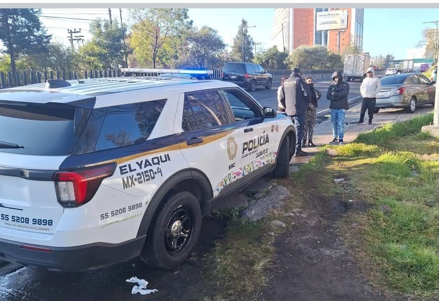 Abogado Animalista tweet media