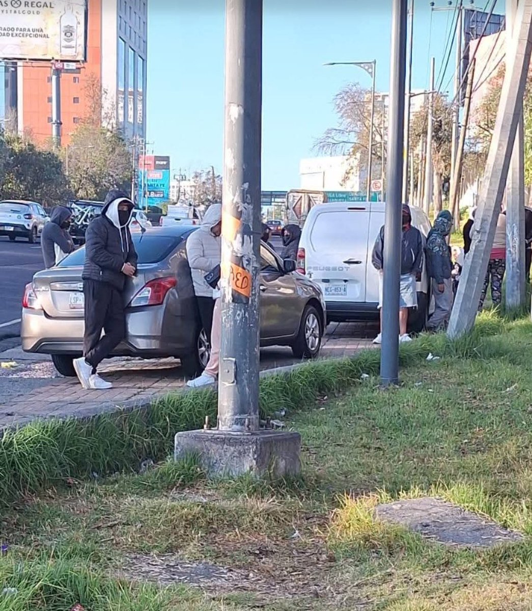 Abogado Animalista tweet media