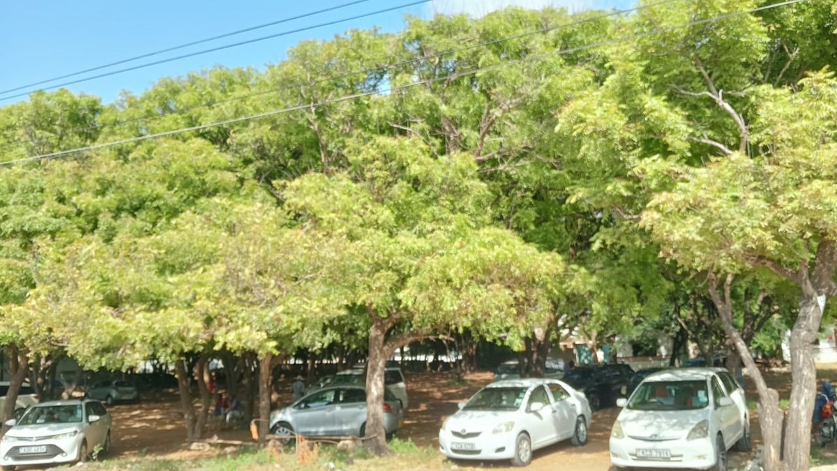 AfricanTeacher tweet media