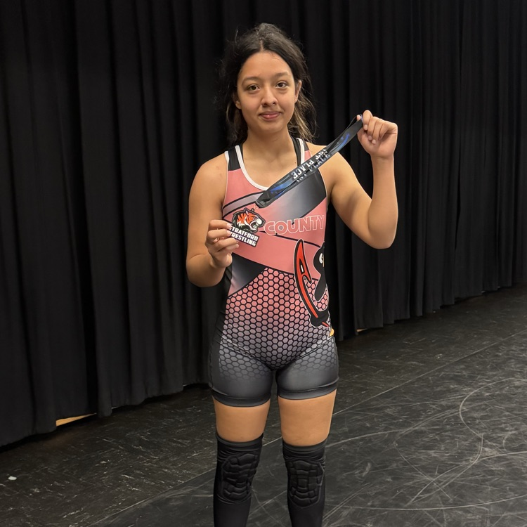 TC PENGUIN NATION tweet media