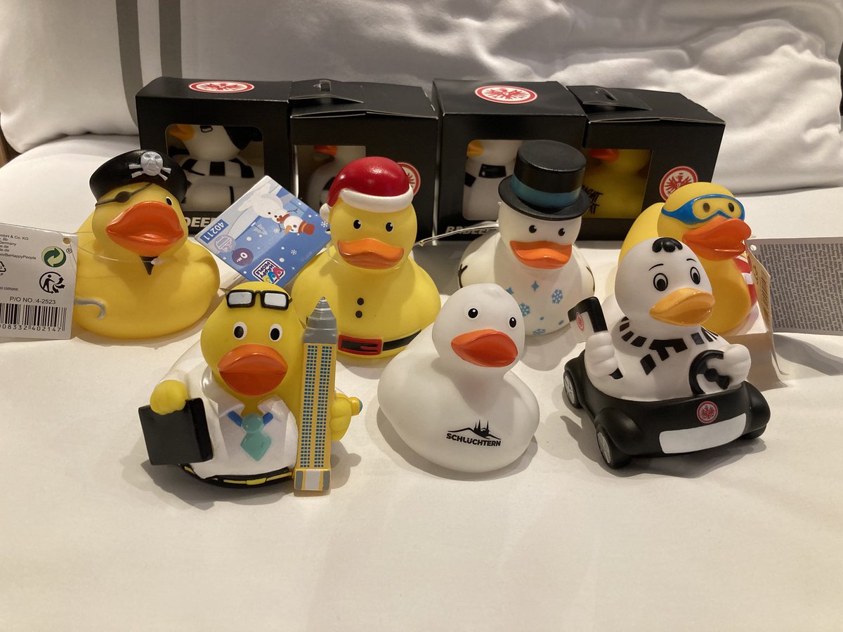 フランクフルトでお迎えしたあひる！！ 順調に増えておりますよ