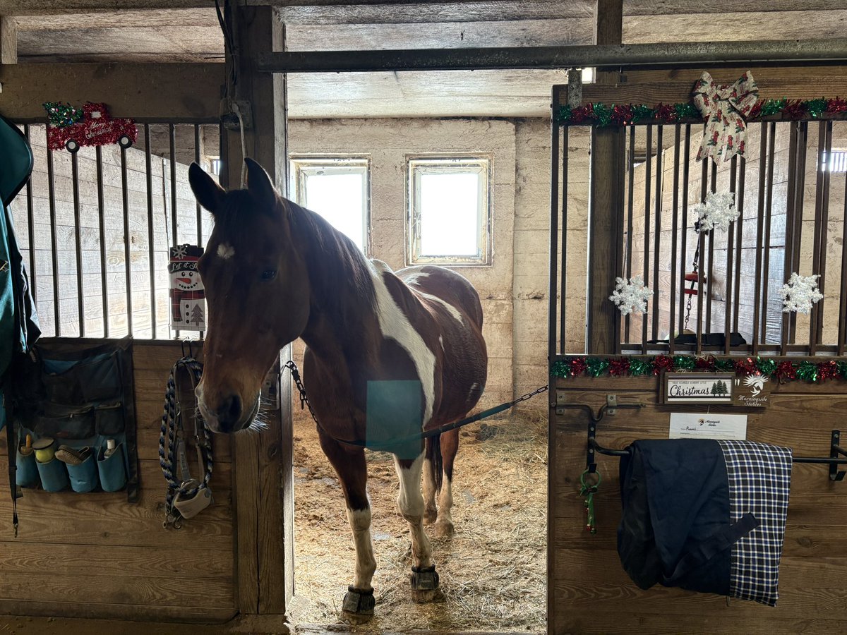 Misty 💙🌻 tweet media