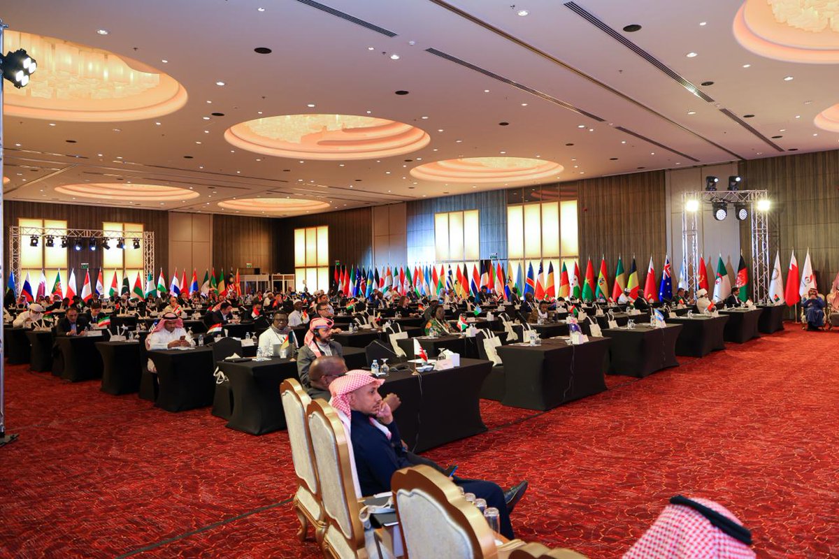 World Camelids Sport tweet media