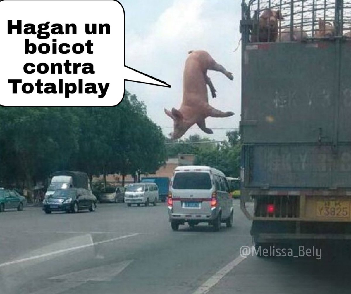 Melissa Ⓜ️ tweet media