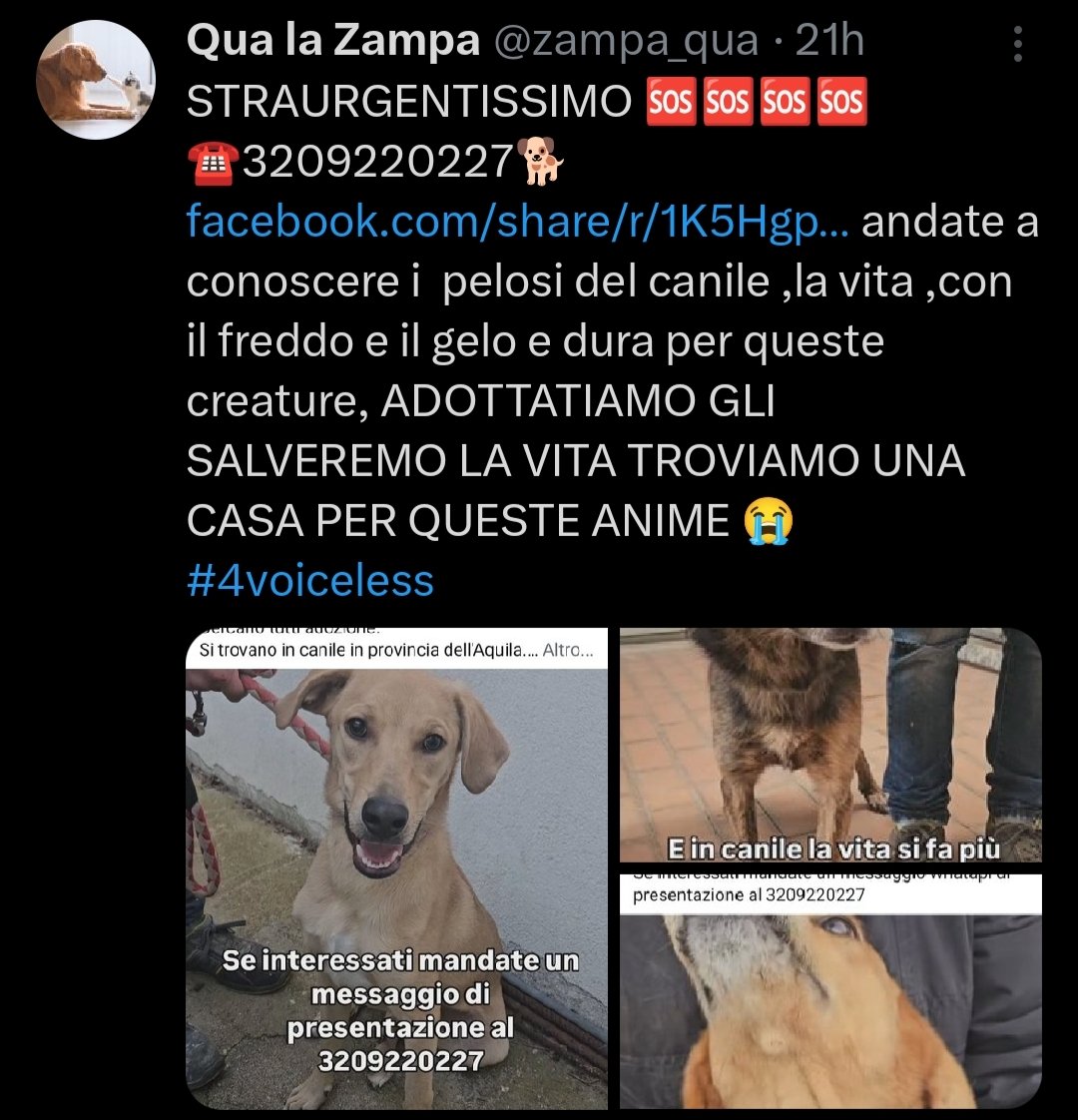 José Mourinho. #Mourinho #RomaSalernitana #DAZN, image size:1080x1122