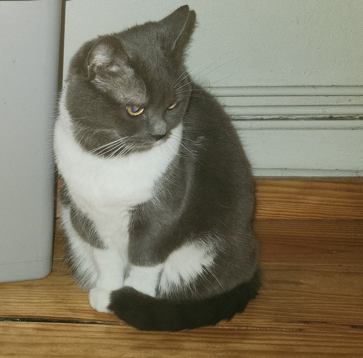 Elle est ravie que je sois rentrée...