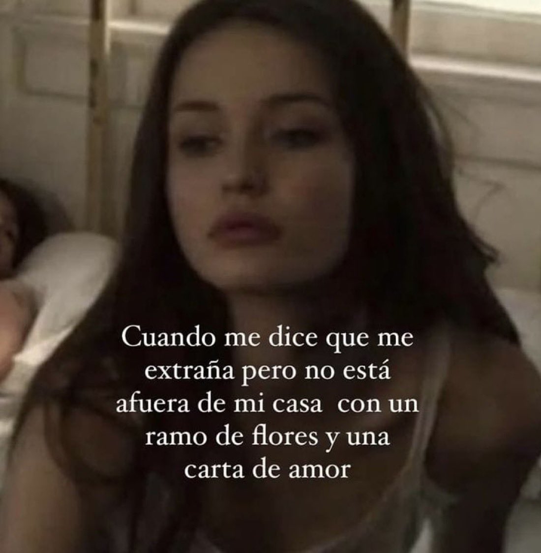 sofiagrciiia's tweet image. 