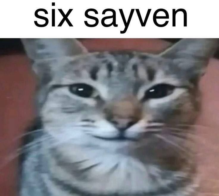 Volkov (@volkov8888) on Twitter photo 